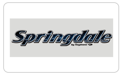 Keystone  Springdale RVs For Sale For Sale